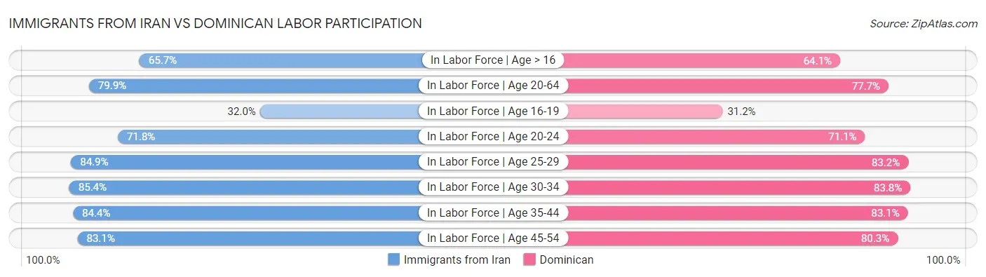 Immigrants from Iran vs Dominican Labor Participation