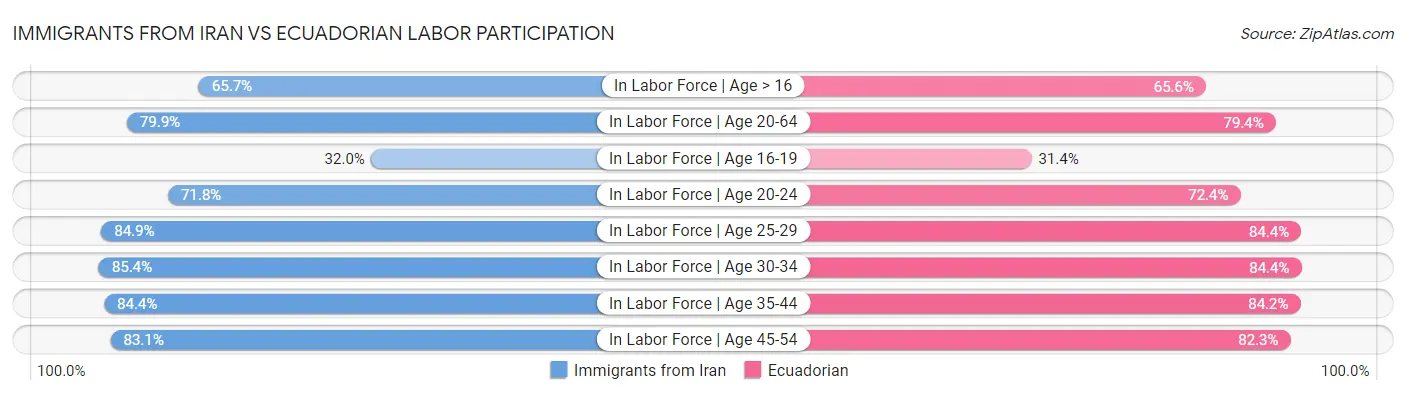 Immigrants from Iran vs Ecuadorian Labor Participation