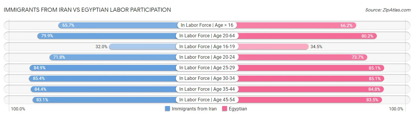 Immigrants from Iran vs Egyptian Labor Participation