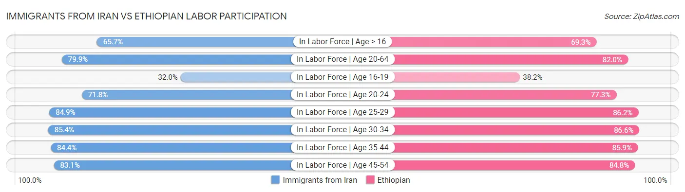 Immigrants from Iran vs Ethiopian Labor Participation