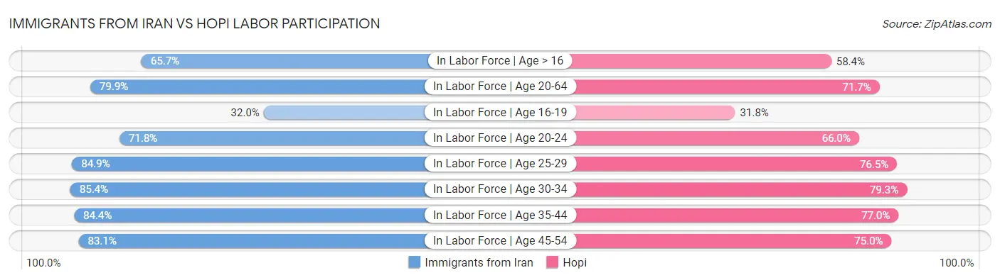 Immigrants from Iran vs Hopi Labor Participation