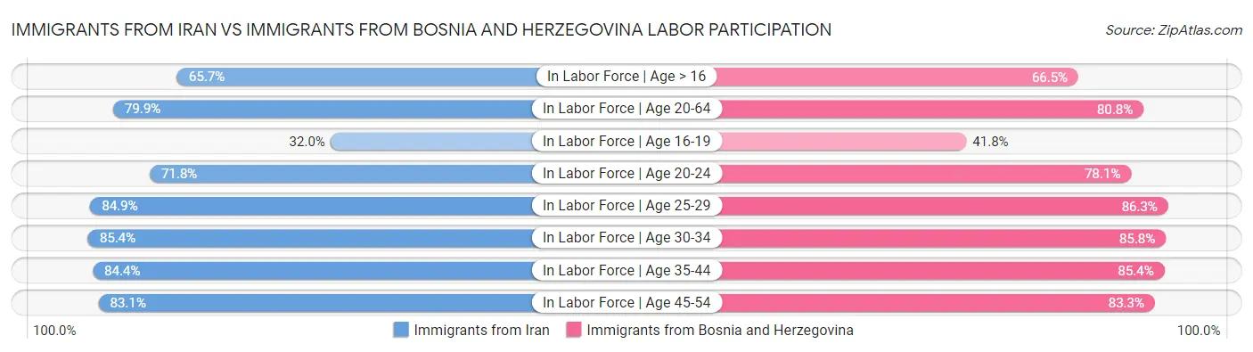 Immigrants from Iran vs Immigrants from Bosnia and Herzegovina Labor Participation