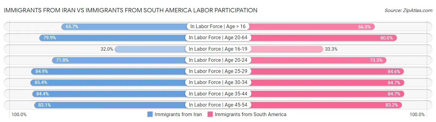 Immigrants from Iran vs Immigrants from South America Labor Participation