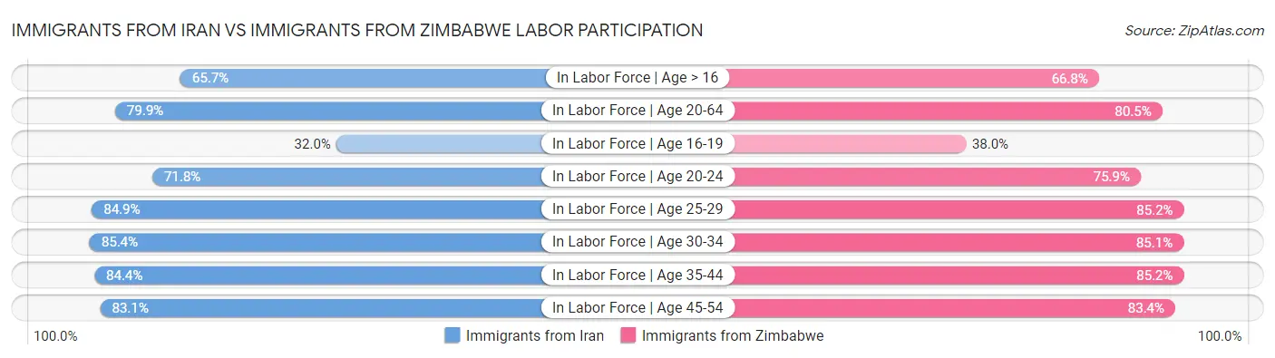 Immigrants from Iran vs Immigrants from Zimbabwe Labor Participation