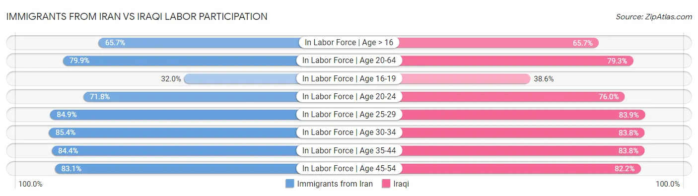 Immigrants from Iran vs Iraqi Labor Participation
