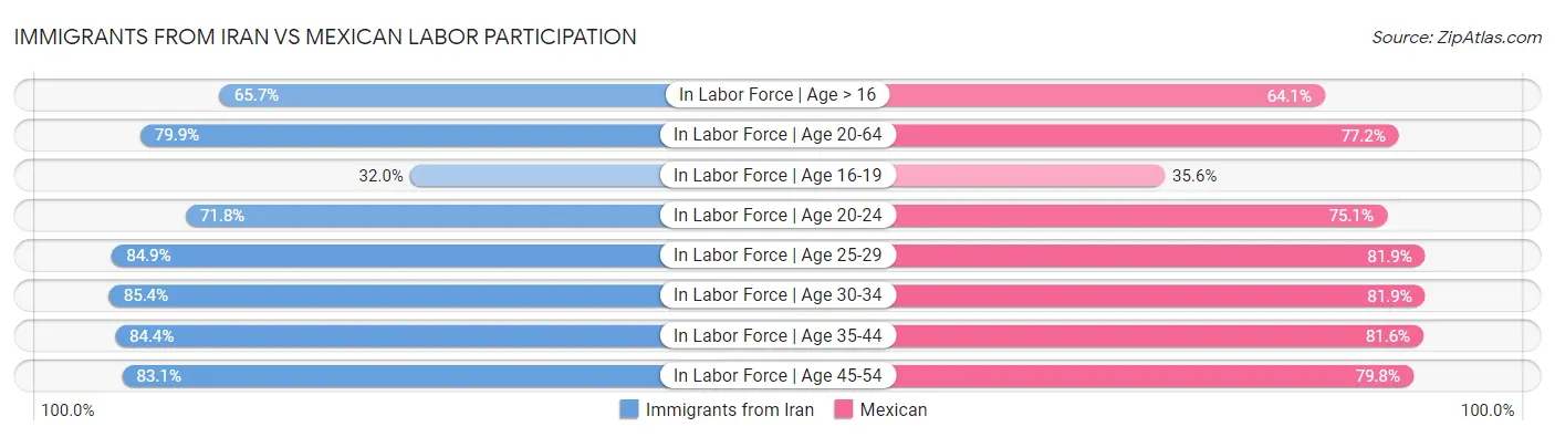 Immigrants from Iran vs Mexican Labor Participation