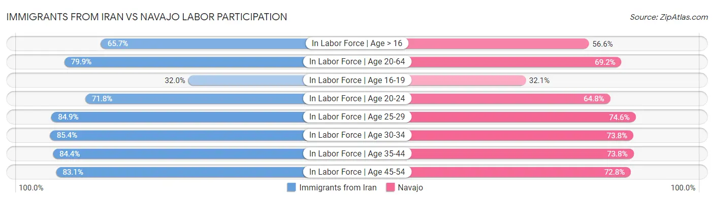Immigrants from Iran vs Navajo Labor Participation