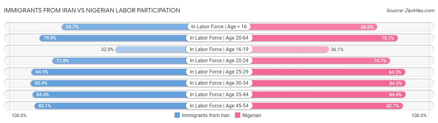 Immigrants from Iran vs Nigerian Labor Participation