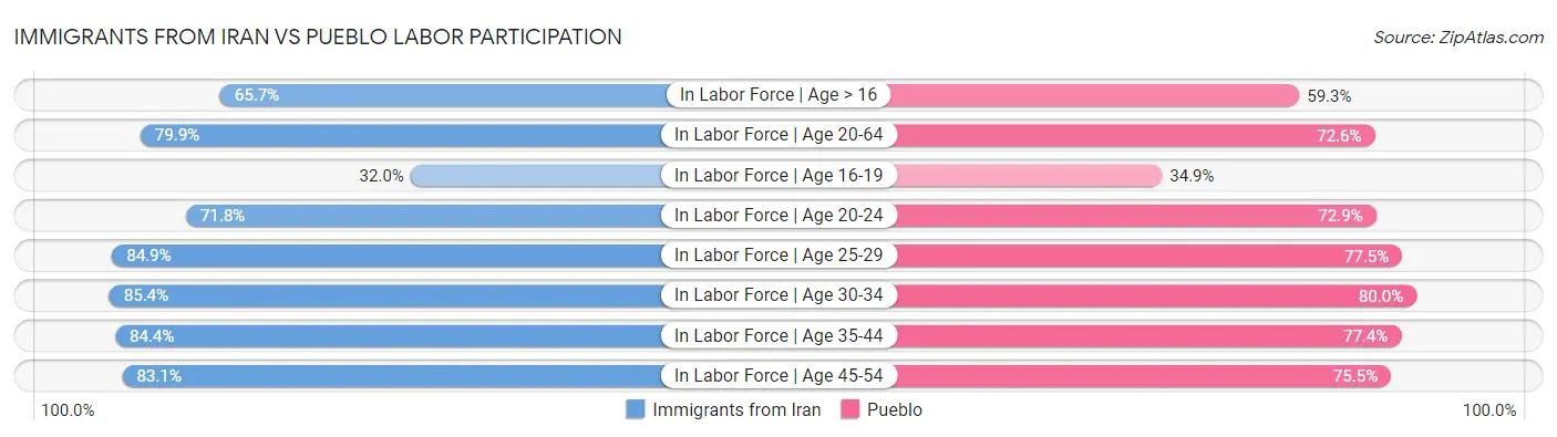 Immigrants from Iran vs Pueblo Labor Participation