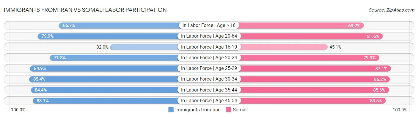 Immigrants from Iran vs Somali Labor Participation