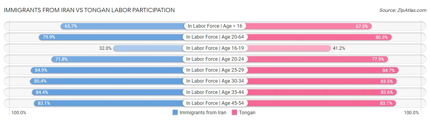 Immigrants from Iran vs Tongan Labor Participation