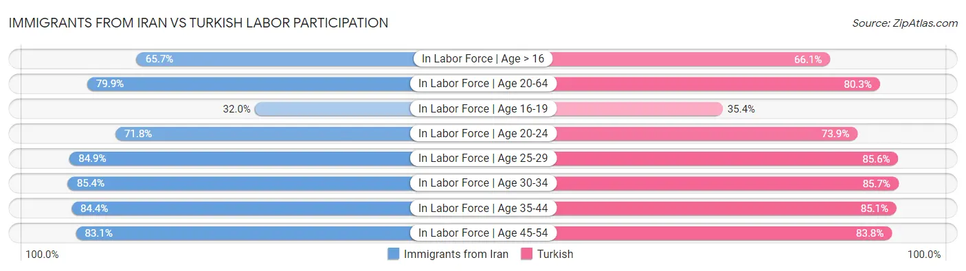 Immigrants from Iran vs Turkish Labor Participation