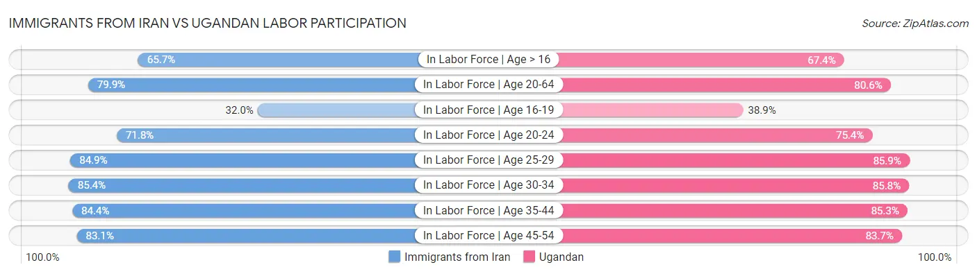 Immigrants from Iran vs Ugandan Labor Participation
