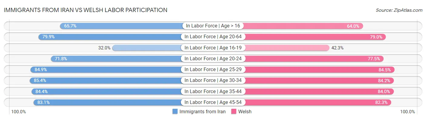 Immigrants from Iran vs Welsh Labor Participation