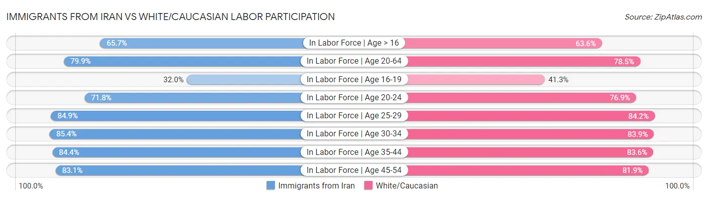 Immigrants from Iran vs White/Caucasian Labor Participation