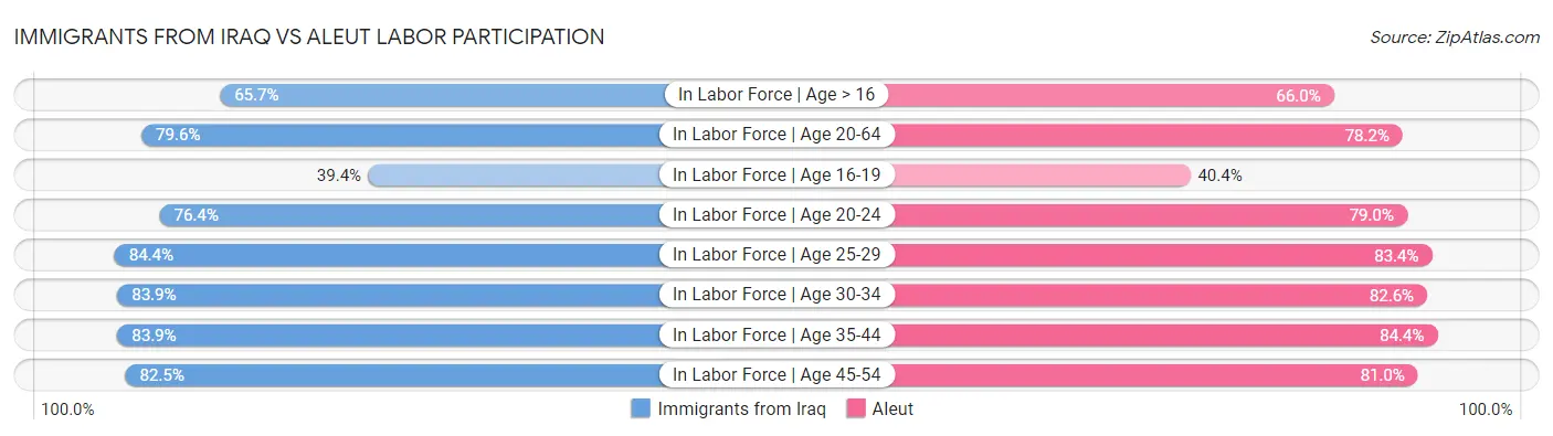 Immigrants from Iraq vs Aleut Labor Participation