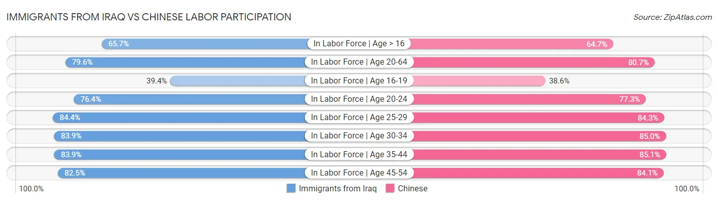 Immigrants from Iraq vs Chinese Labor Participation
