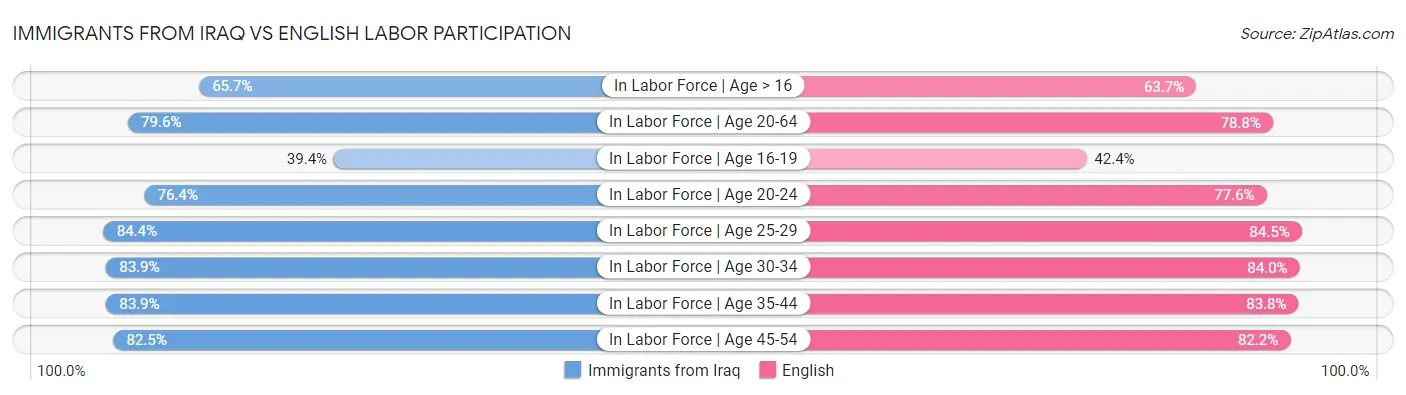 Immigrants from Iraq vs English Labor Participation