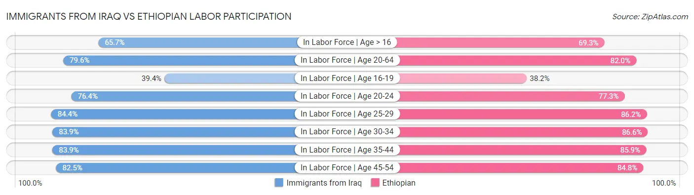 Immigrants from Iraq vs Ethiopian Labor Participation