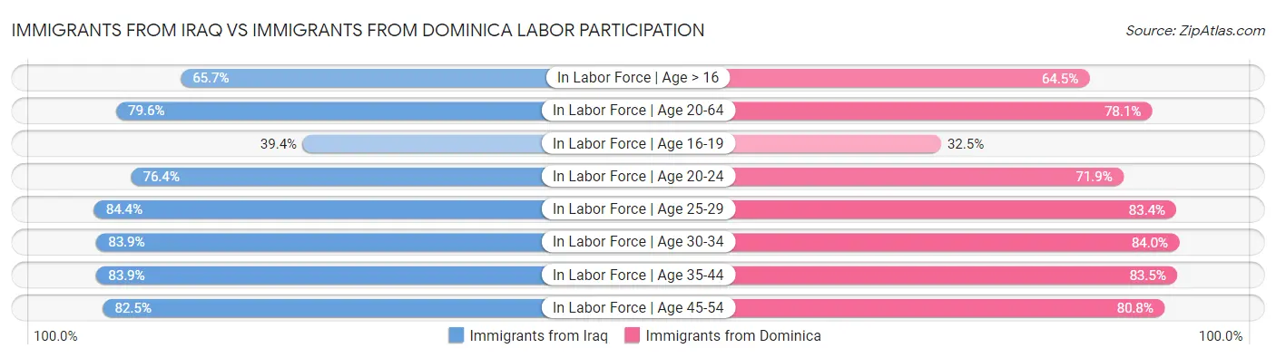 Immigrants from Iraq vs Immigrants from Dominica Labor Participation