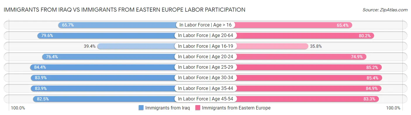 Immigrants from Iraq vs Immigrants from Eastern Europe Labor Participation