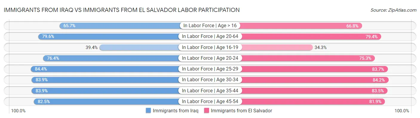 Immigrants from Iraq vs Immigrants from El Salvador Labor Participation