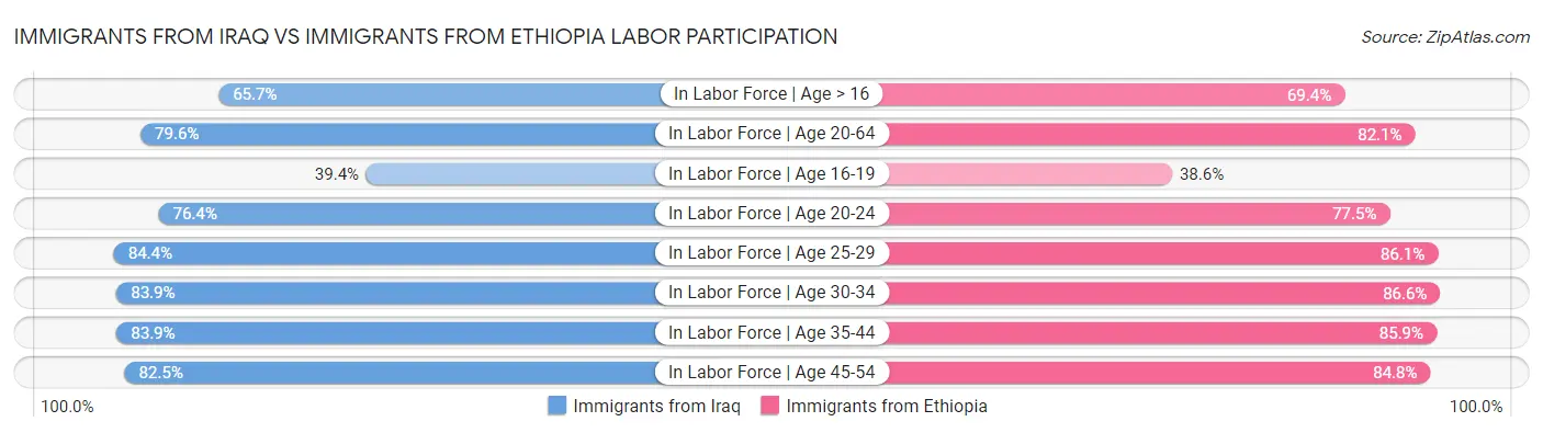 Immigrants from Iraq vs Immigrants from Ethiopia Labor Participation