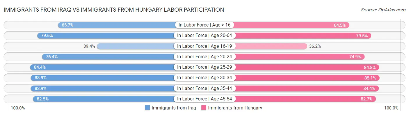 Immigrants from Iraq vs Immigrants from Hungary Labor Participation
