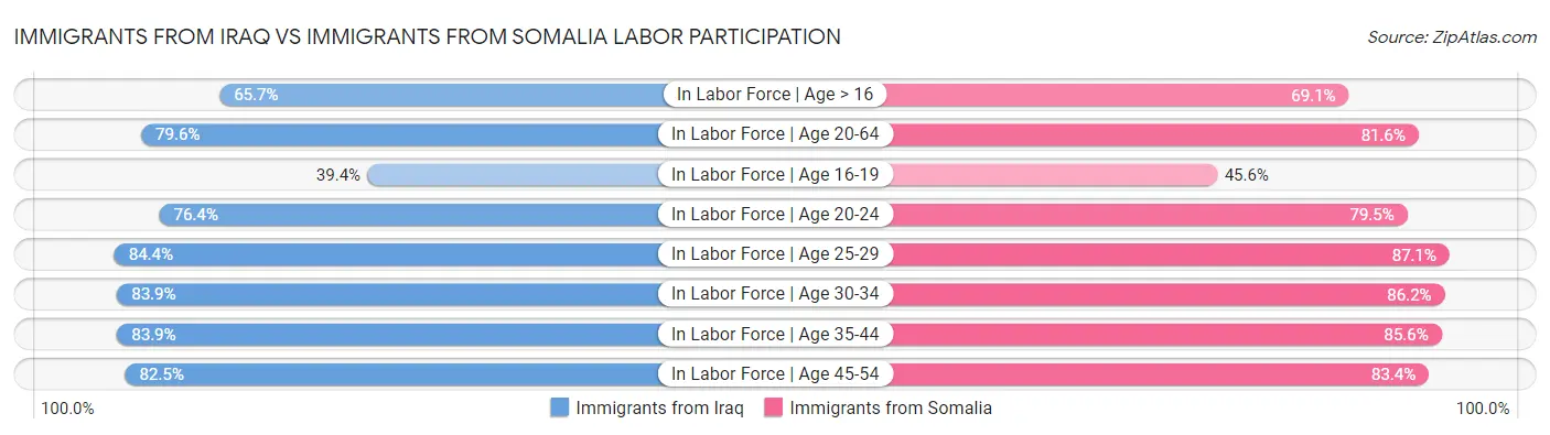 Immigrants from Iraq vs Immigrants from Somalia Labor Participation