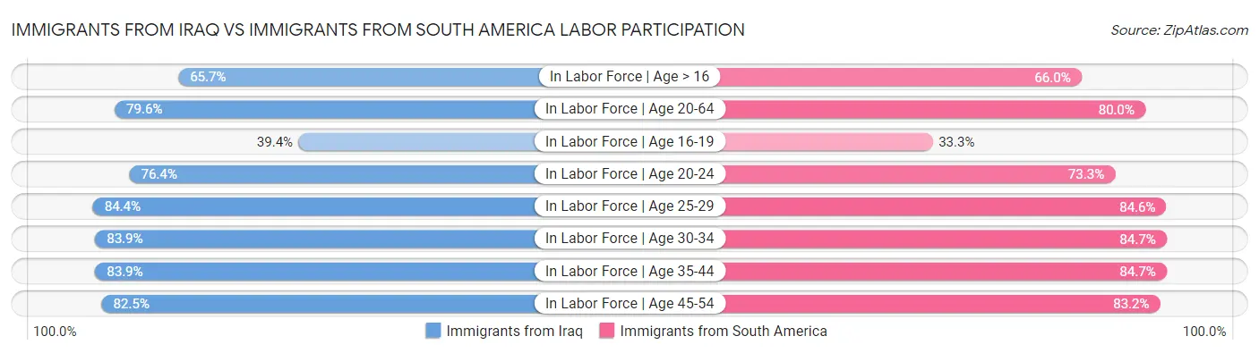 Immigrants from Iraq vs Immigrants from South America Labor Participation
