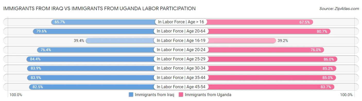 Immigrants from Iraq vs Immigrants from Uganda Labor Participation
