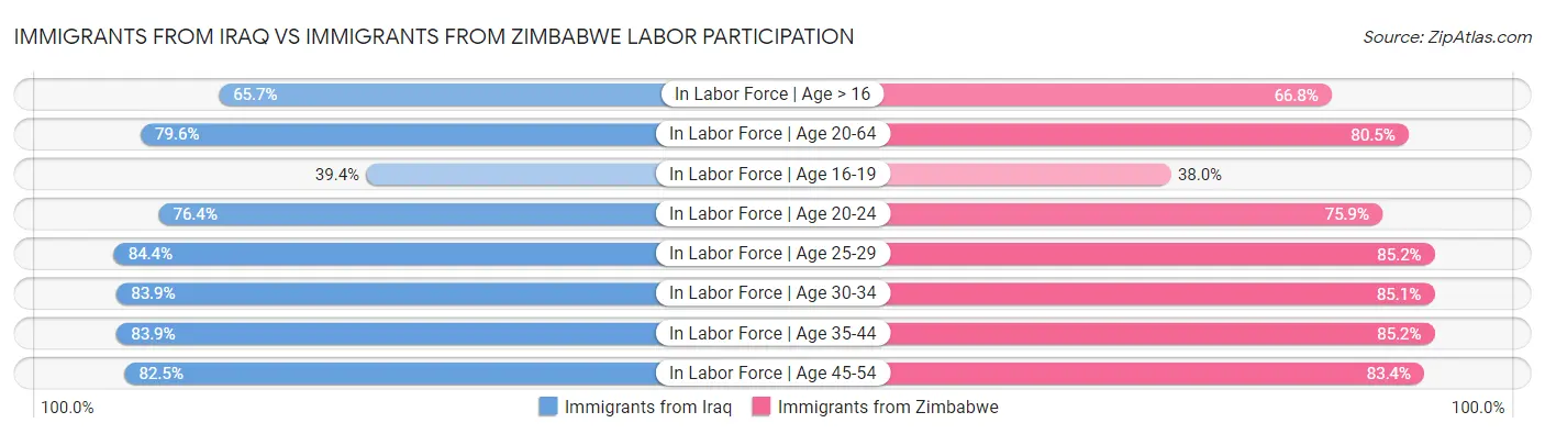 Immigrants from Iraq vs Immigrants from Zimbabwe Labor Participation