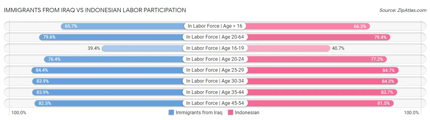 Immigrants from Iraq vs Indonesian Labor Participation