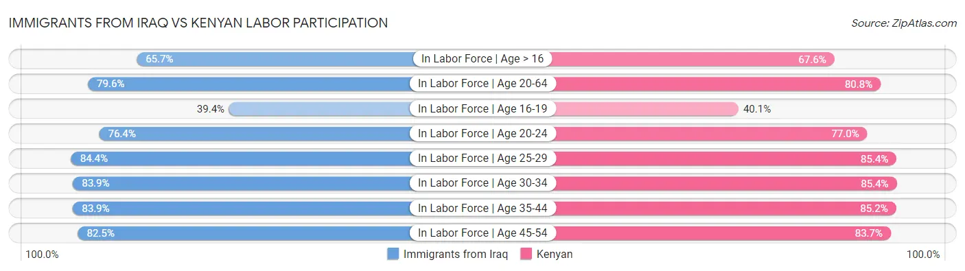 Immigrants from Iraq vs Kenyan Labor Participation