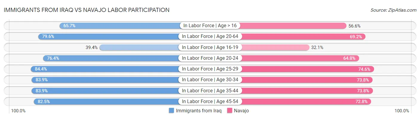 Immigrants from Iraq vs Navajo Labor Participation