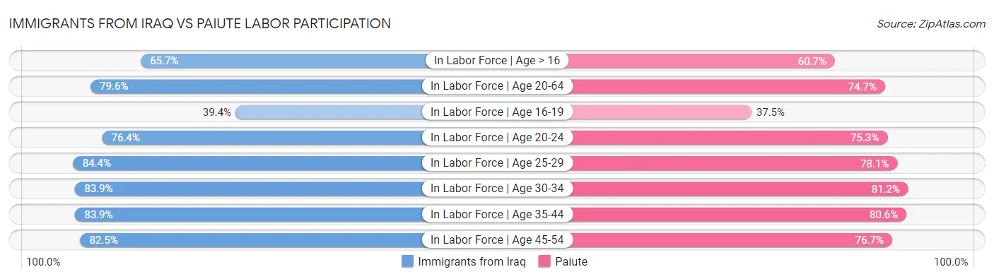 Immigrants from Iraq vs Paiute Labor Participation