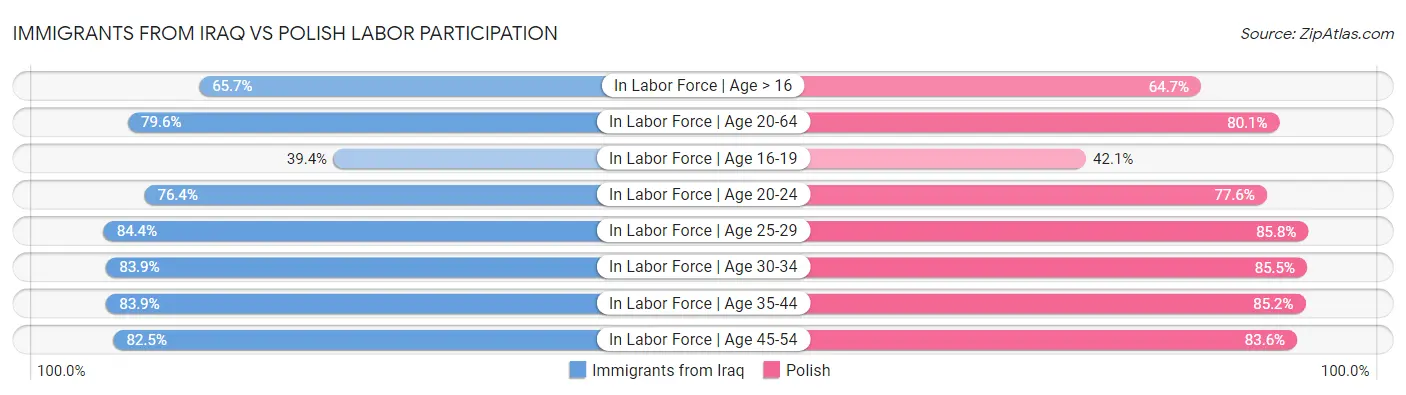 Immigrants from Iraq vs Polish Labor Participation