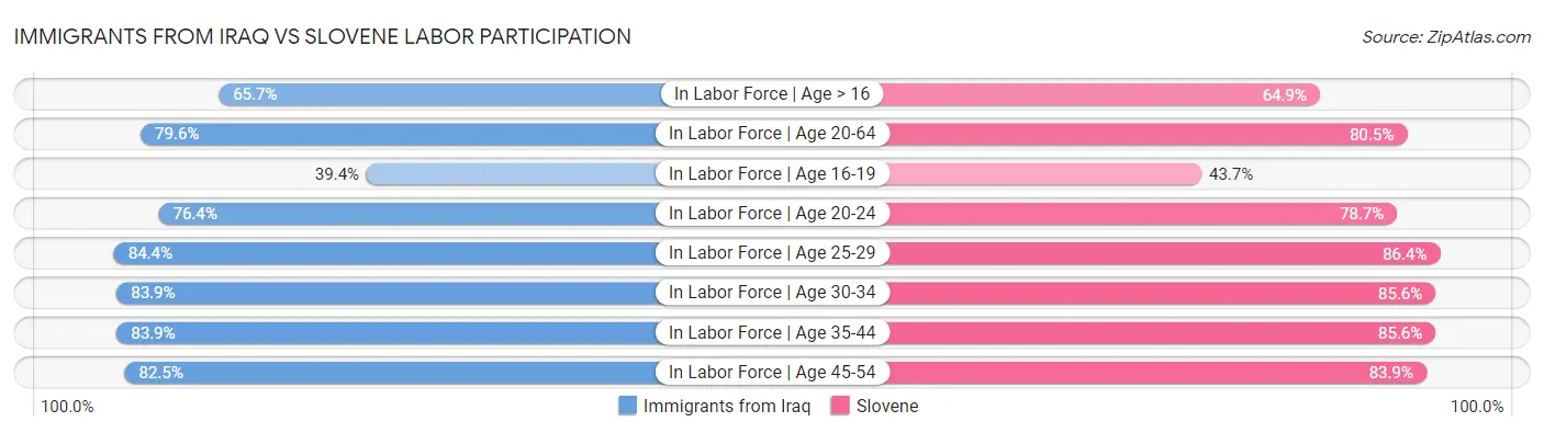Immigrants from Iraq vs Slovene Labor Participation