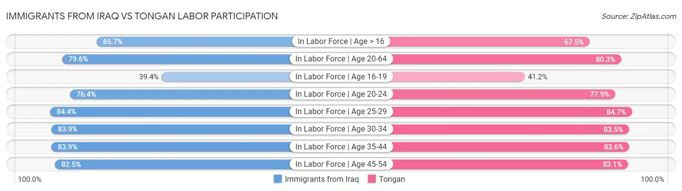 Immigrants from Iraq vs Tongan Labor Participation