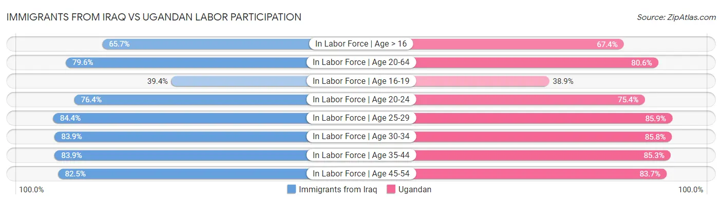 Immigrants from Iraq vs Ugandan Labor Participation
