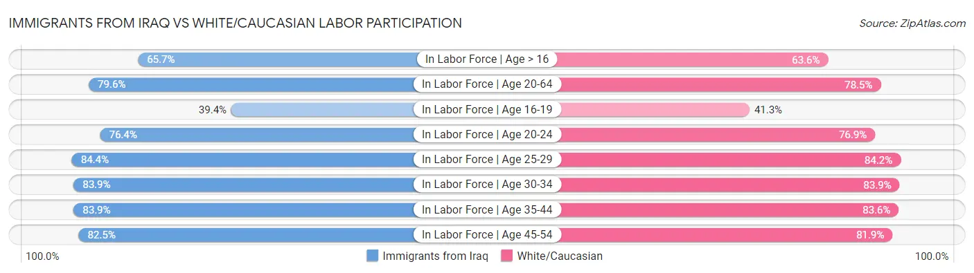Immigrants from Iraq vs White/Caucasian Labor Participation