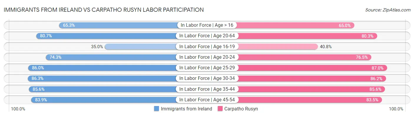 Immigrants from Ireland vs Carpatho Rusyn Labor Participation