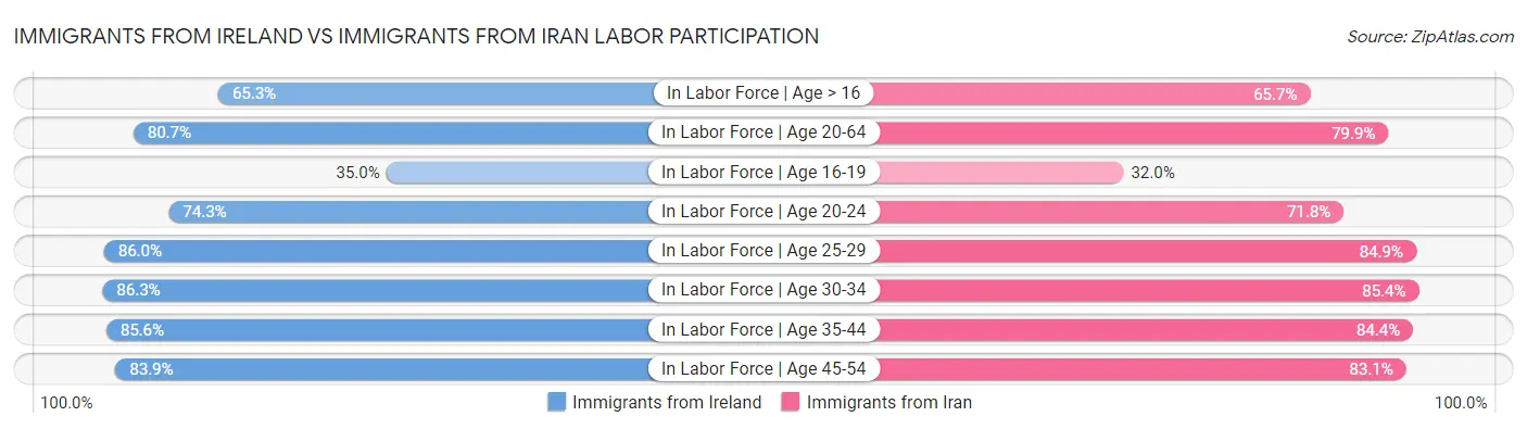Immigrants from Ireland vs Immigrants from Iran Labor Participation