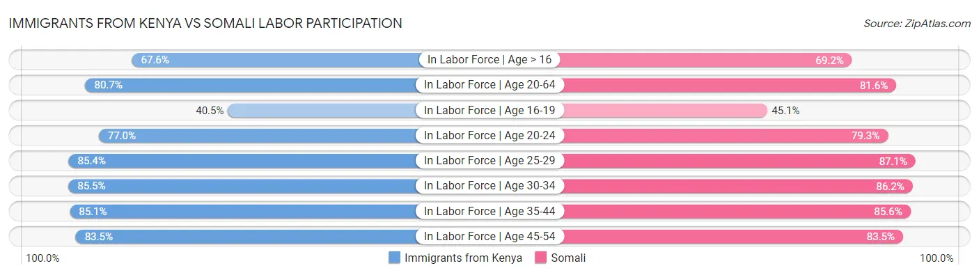 Immigrants from Kenya vs Somali Labor Participation