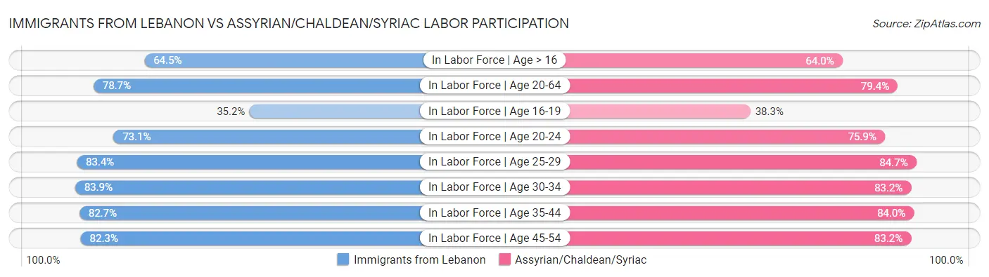 Immigrants from Lebanon vs Assyrian/Chaldean/Syriac Labor Participation