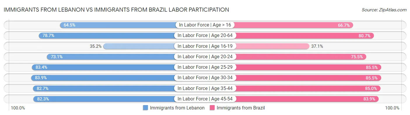 Immigrants from Lebanon vs Immigrants from Brazil Labor Participation
