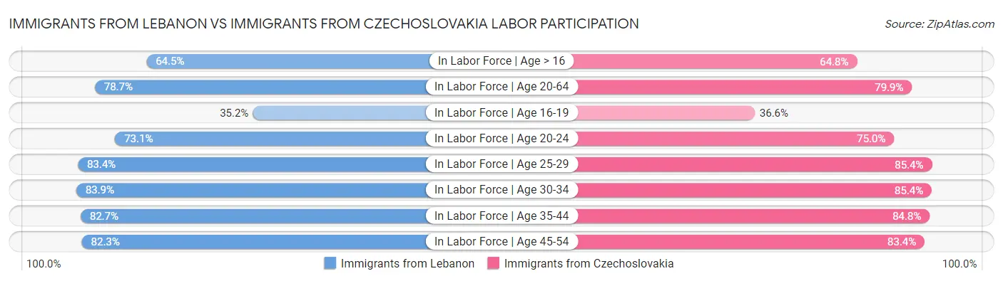 Immigrants from Lebanon vs Immigrants from Czechoslovakia Labor Participation