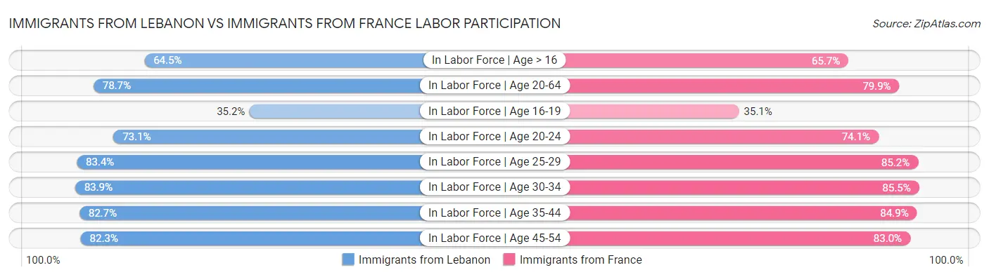 Immigrants from Lebanon vs Immigrants from France Labor Participation