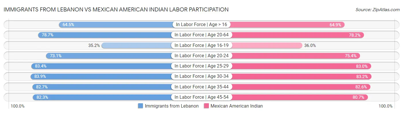 Immigrants from Lebanon vs Mexican American Indian Labor Participation