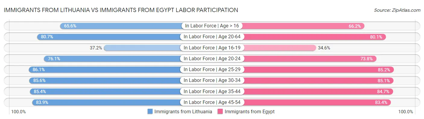 Immigrants from Lithuania vs Immigrants from Egypt Labor Participation